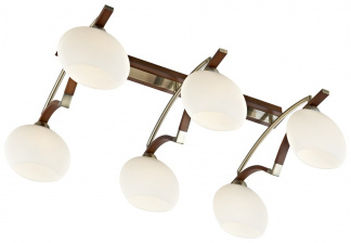Потолочный светильник 269 269-527-06