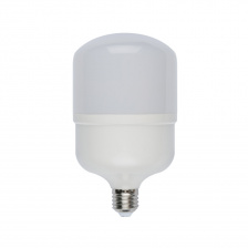 Лампочка светодиодная  LED-M80-25W/NW/E27/FR/S картон